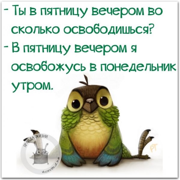 Прикольные выражения про пятницу