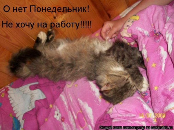 Не хочу на работу