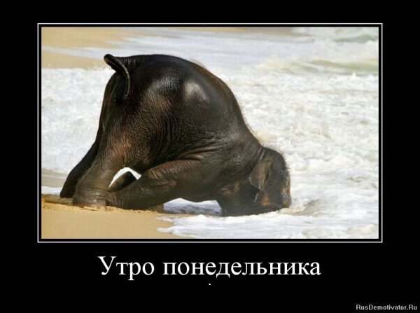 Смешной мотиватор