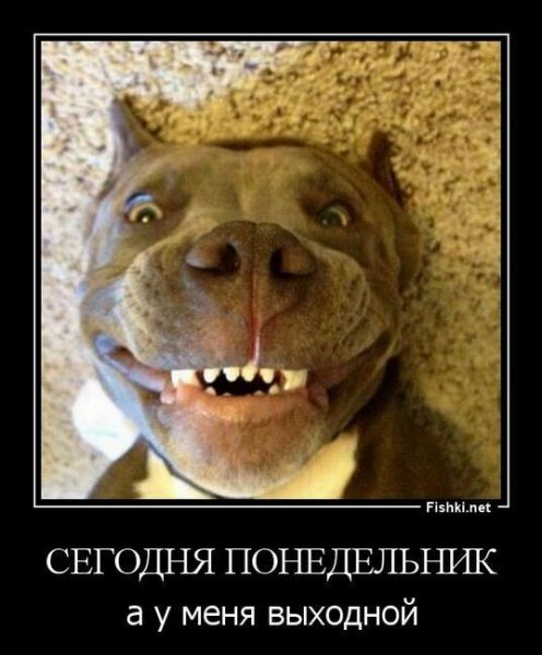 Понедельник демотиваторы