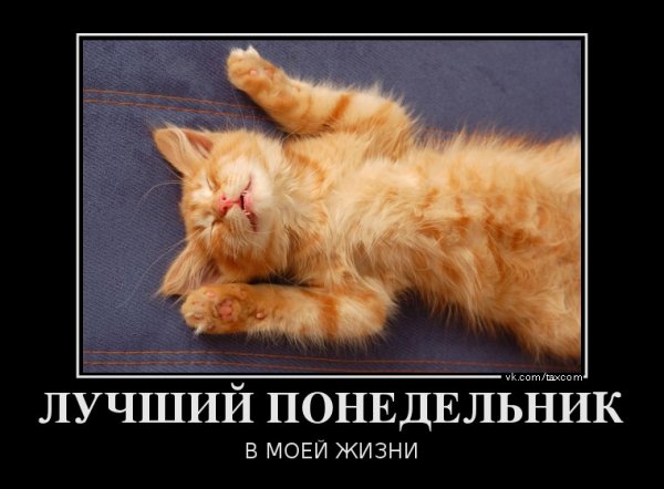 Цитаты про выходные