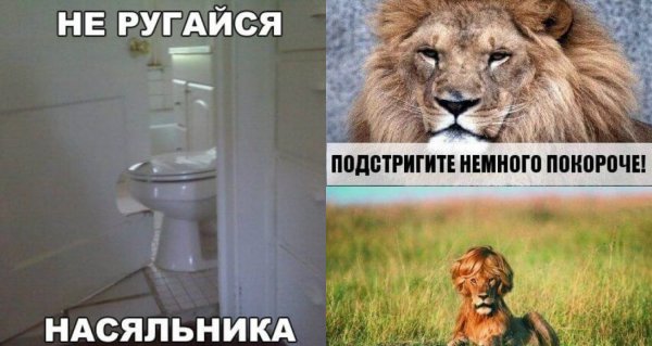 Приколы завтра на работу после выходных