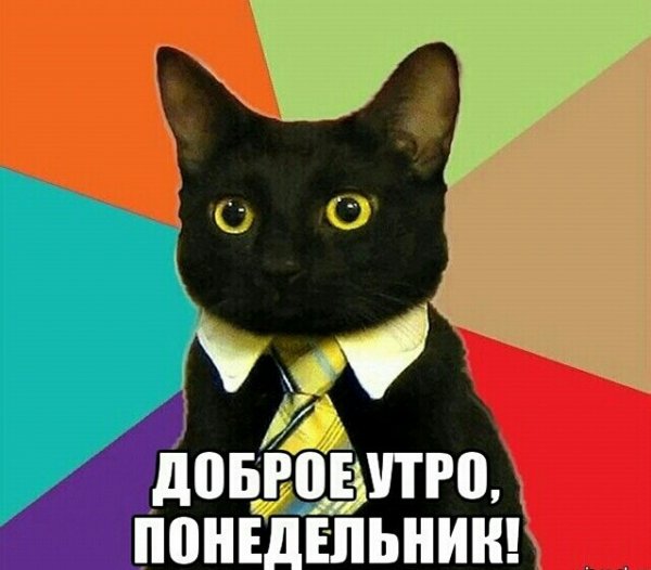 Высказывания про понедельник смешные