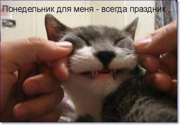 Понедельник день веселый