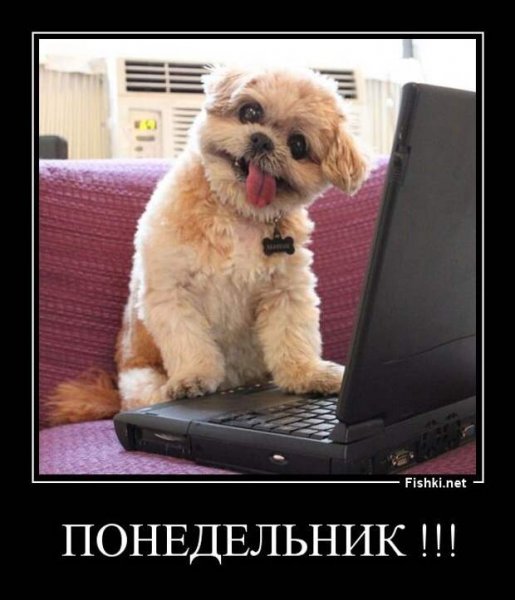 Веселого понедельника