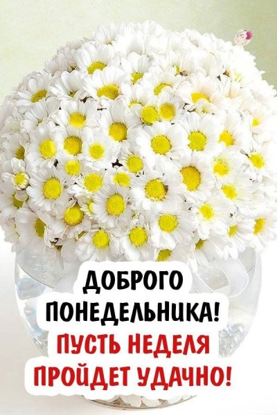 Открытки с добрым понедельником