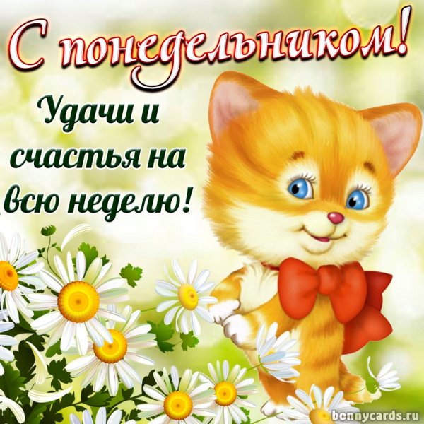 Поздравление с понедельником