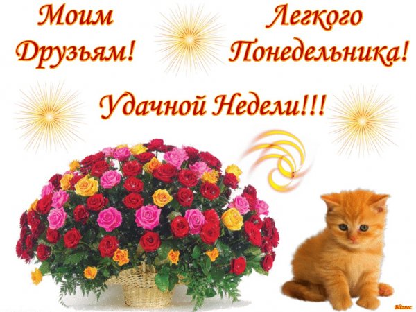 Легкой недели