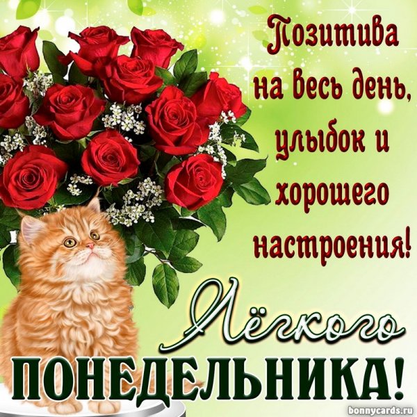Открытки с понедельником