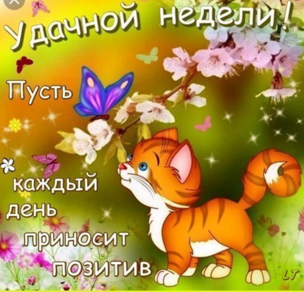 Пожелания на понедельник