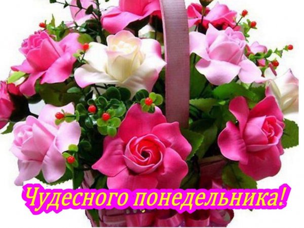 Прекрасного понедельника