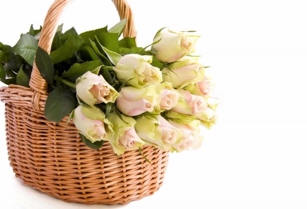 Букет в корзине на прозрачном фоне