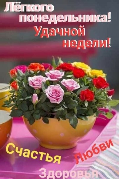 Прекрасной недели