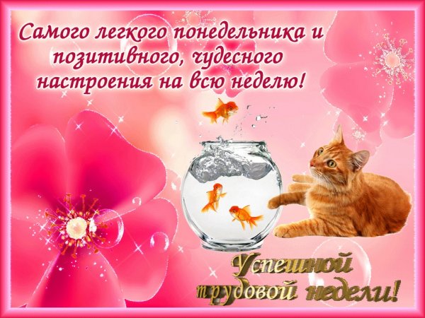 Пожелания легкого понедельника
