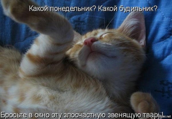 Открытки проснулись?