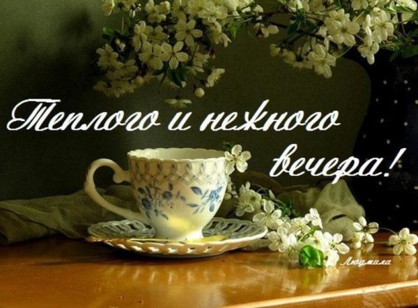 Хорошего весеннего вечера