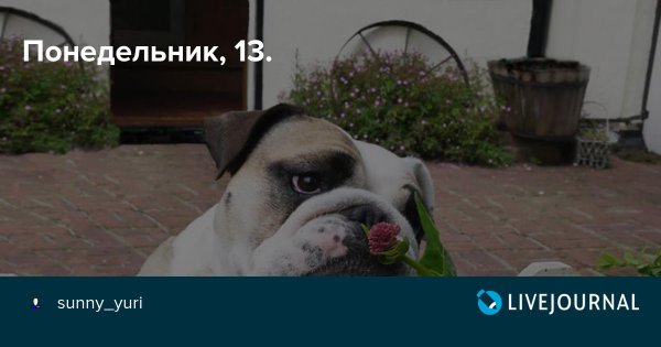Понедельник 13