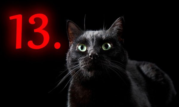С пятницей 13 прикольные