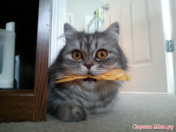Открытки опять понедельник