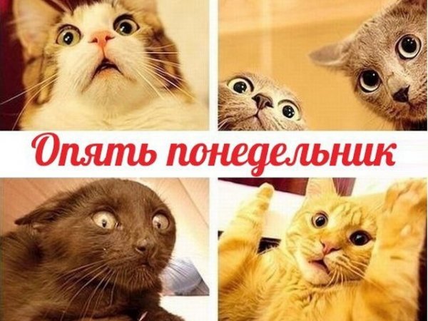 Опять понедельник