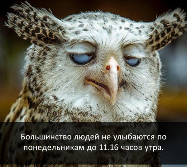 Понедельник улыбка