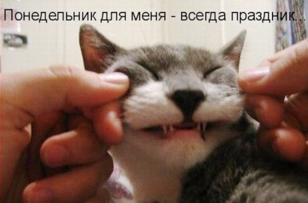 Понедельник для меня всегда праздник