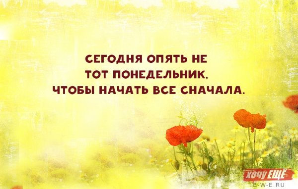 Высказывания про начало недели