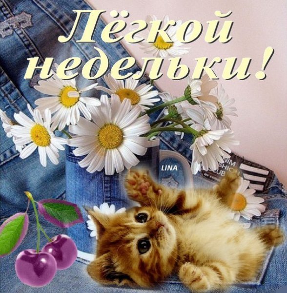 Легкой недели