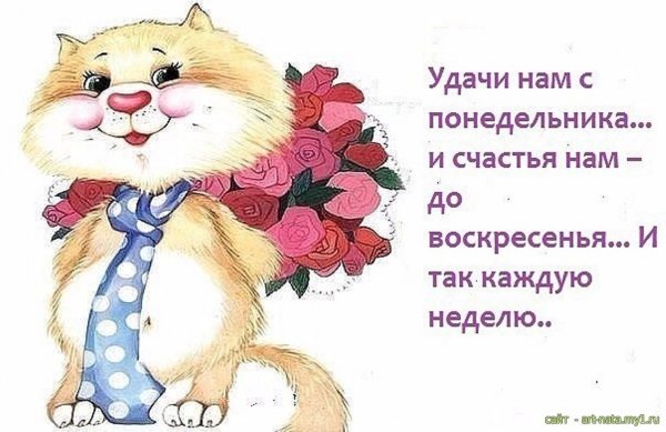 Веселые пожелания на каждый день