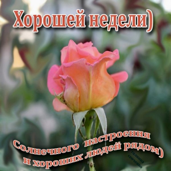 Поздравления с утром понедельника