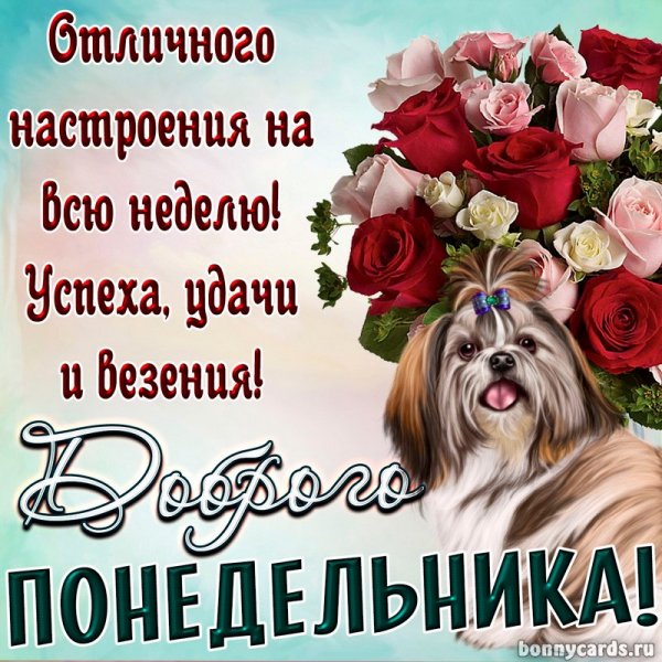 Настроение утро понедельника