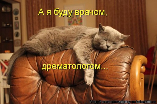 Понедельник день тяжелый кот