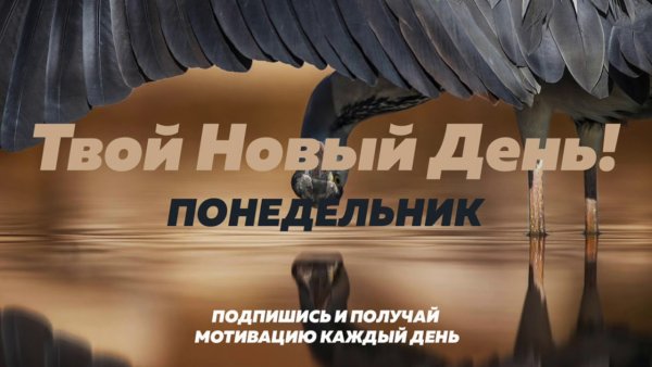Мотивационные картинки понедельник