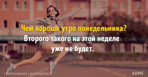 Утро понедельника высказывания