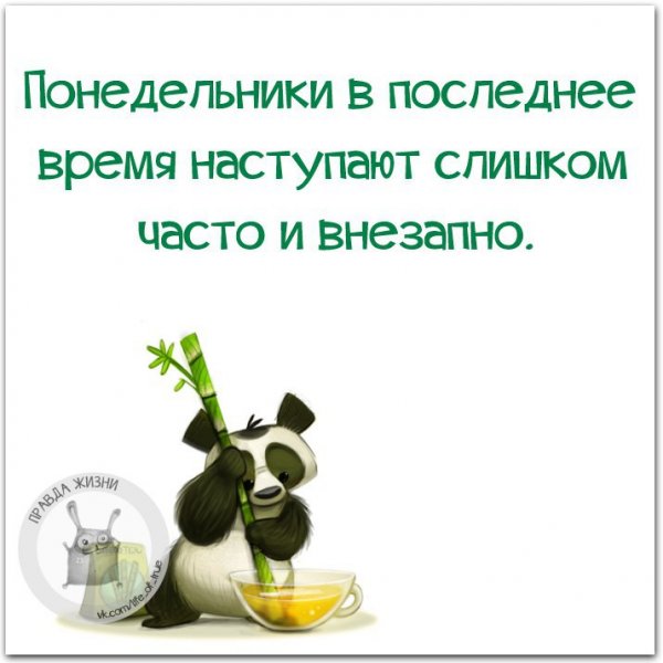 Правда жизни вторник