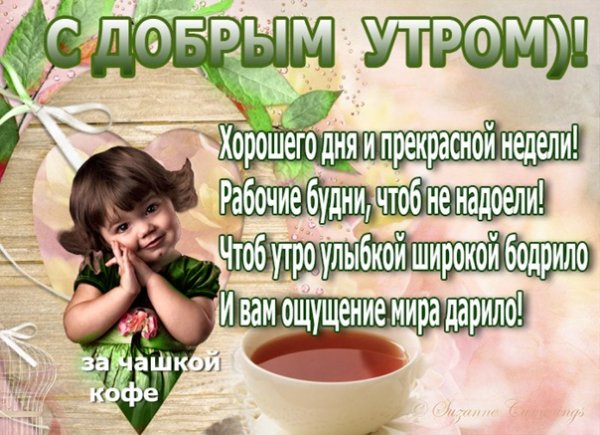 Доброе февральское утро понедельника