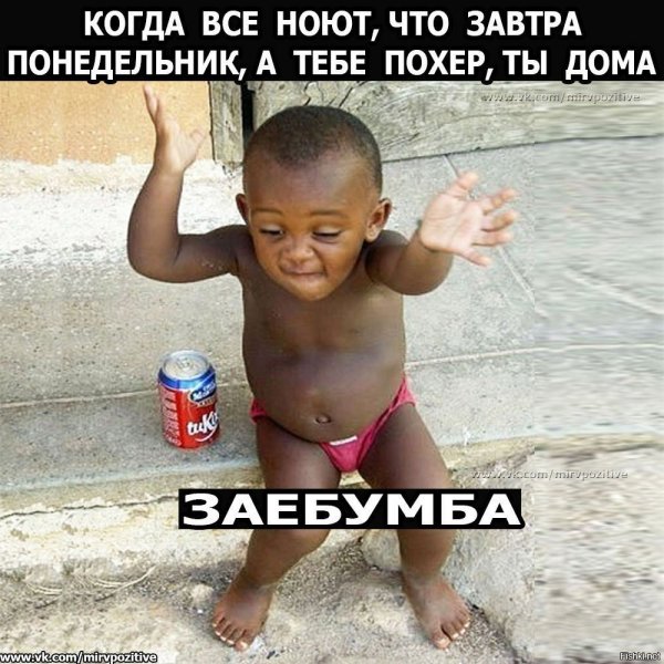 Когда все ноют что завтра на работу а ты в отпуске