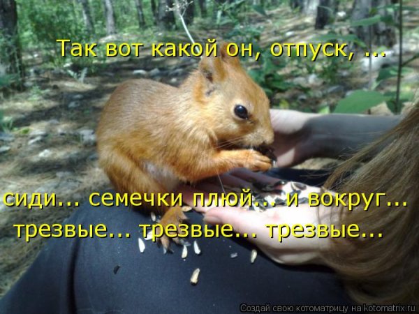 С понедельника я в отпуске