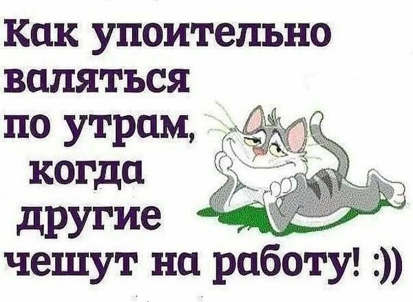Как упоительно валяться по утрам когда другие