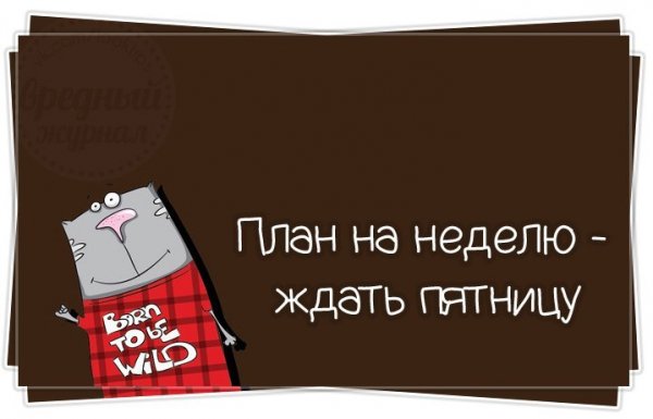 План на неделю ждать пятницу