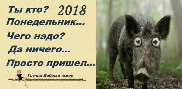 Доброе зимнее утро пятницы прикольные