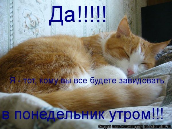 Утро доброе когда понедельник выходной