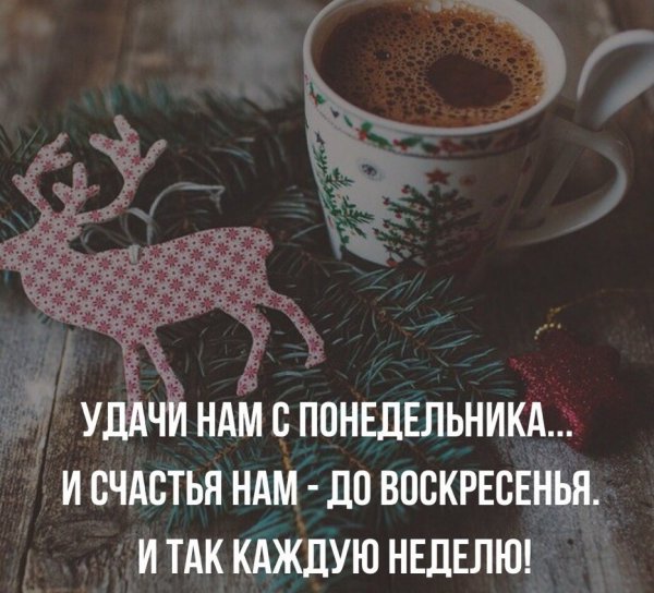Высказывания про понедельник
