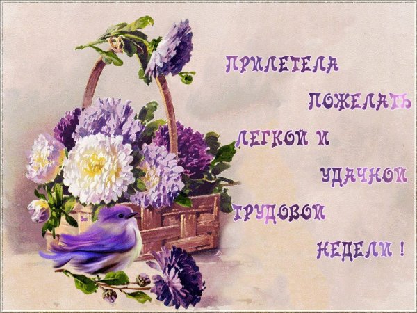 Приятные пожелания на каждый день