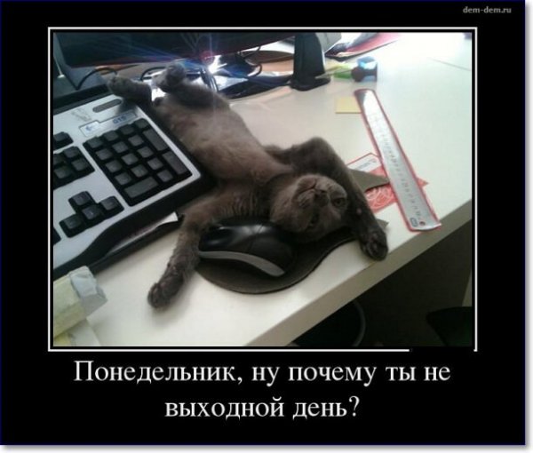 Понедельник демотиваторы