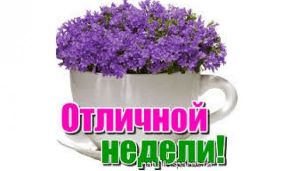 Легкого вторника, удачной недели