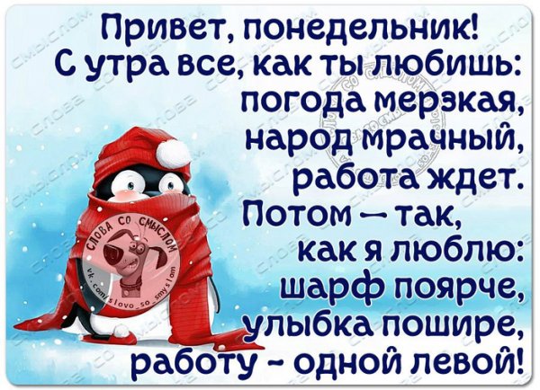 Доброе утро понедельник холодно