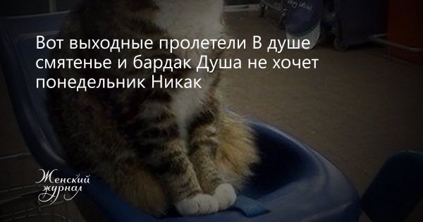 Вот и выходные пролетели