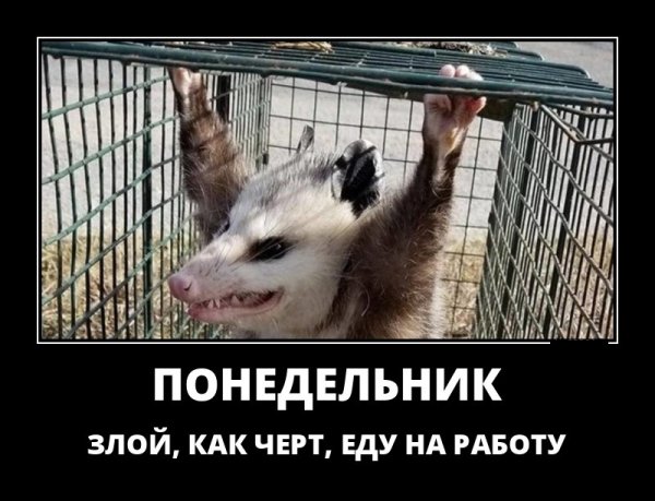 Работа в воскресенье приколы