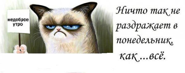 Доброе не бодрое утро